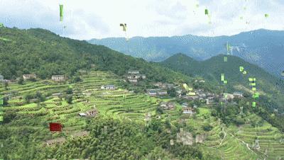 鱼塘200斤鲤鱼消失事件揭秘