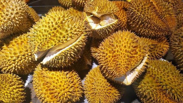 AI挑榴莲出肉率高达50%，科技赋能水果挑选新境界