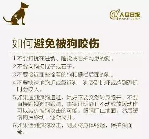每日肩负针灸使命，两会上的300针见证