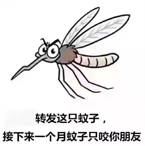 2025年3月 第601页