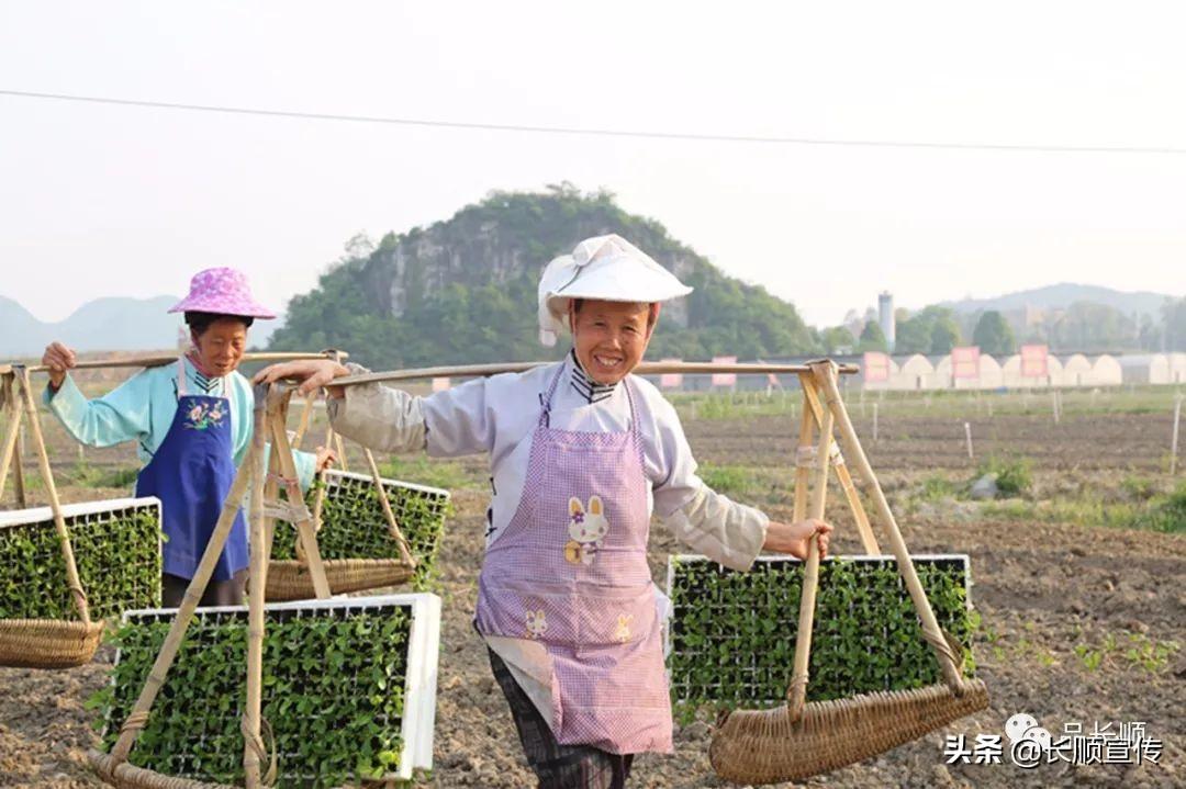 长顺县中小学教师退出机制的探索与实践
