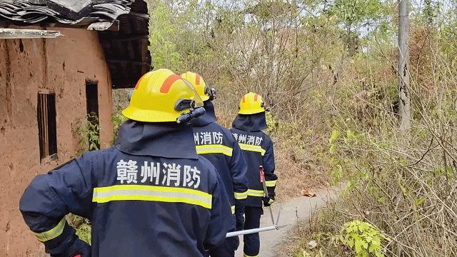 揭秘，130斤蟒蛇惊现菜地散步背后的故事，消防部门紧急处置