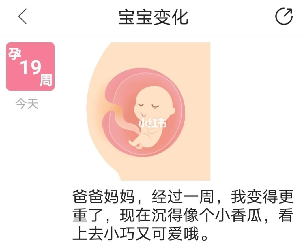 已有九娃再备孕第十胎，一位母亲的勇气与挑战