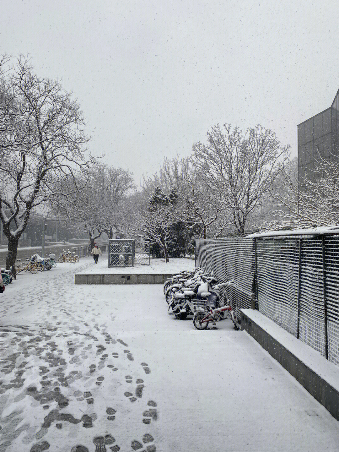 北京竟然下雪了，一场意料之外的冬日奇迹