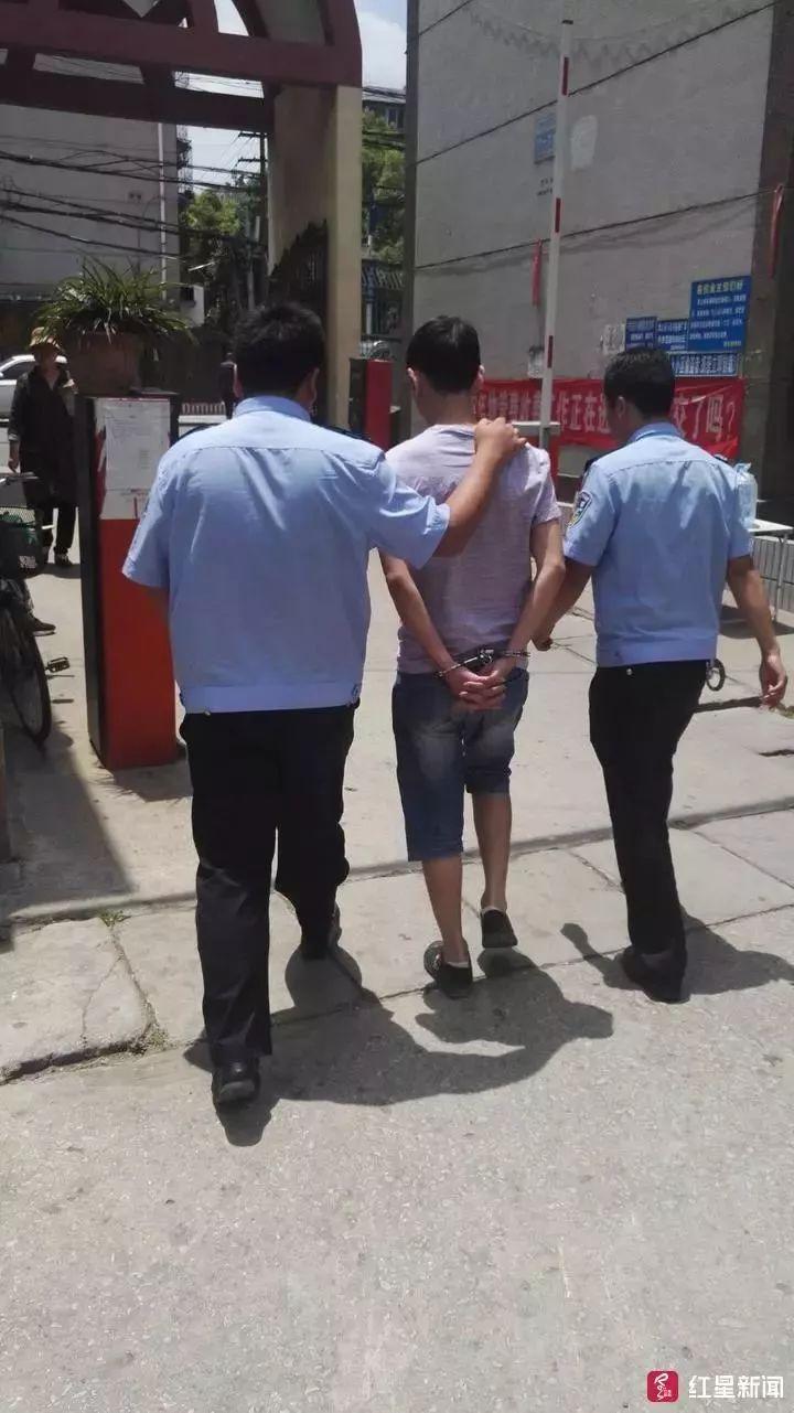 勇闯虚拟世界，一个11岁男孩的救亲行动与成长启示