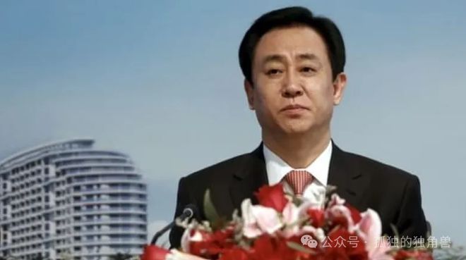 许家印前妻申请被拒事件深度解析