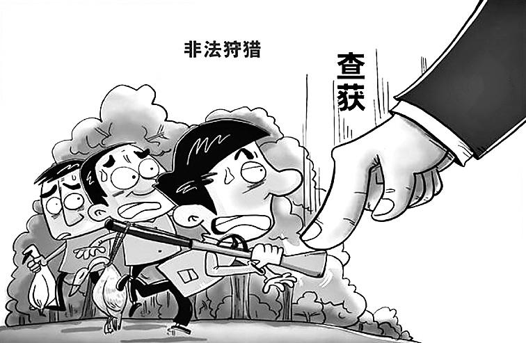 非法狩猎擦枪走火，安全警钟必须长鸣