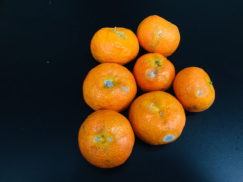 发霉橘子背后的商机，二手平台高价售卖探秘