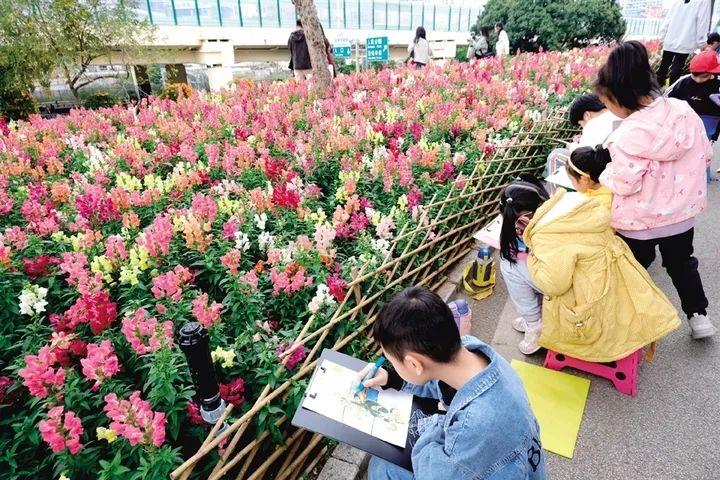 南宁一学生遭蜜蜂围殴倒地事件深度解析