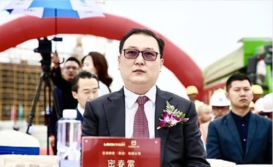 百亿A股公司董事长辞职，拟主动退市——深度解读企业重大变革