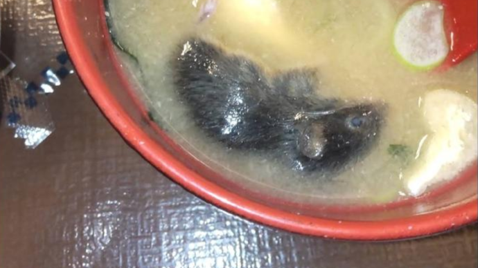味噌汤中的老鼠尸体，一场意料之外的食品安全风波