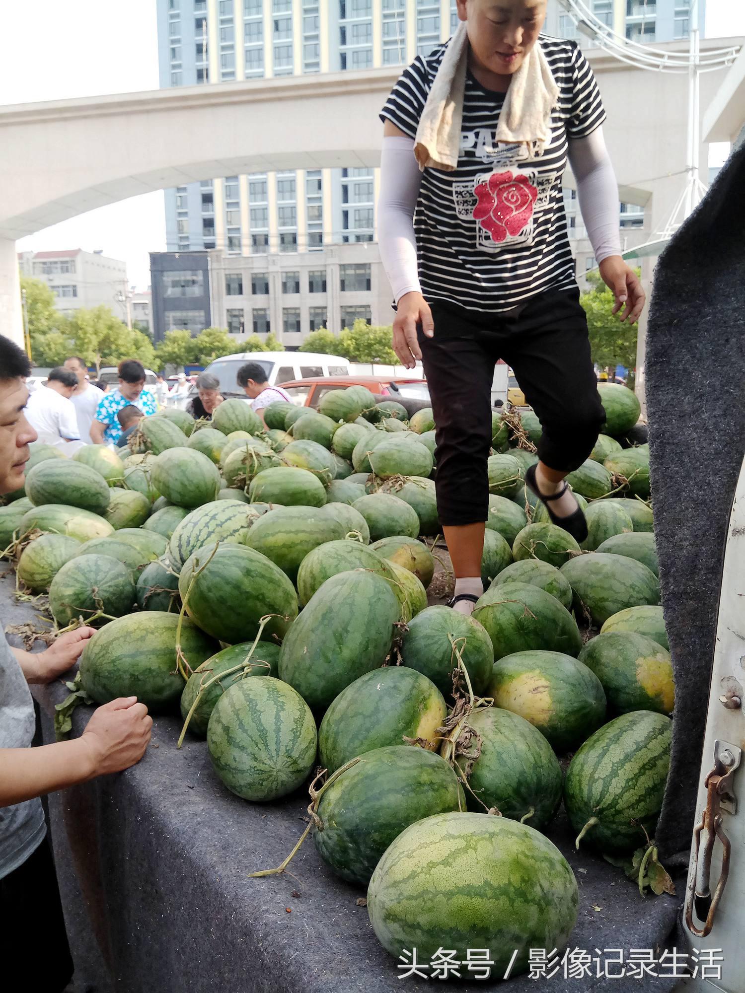 苗大姐发布声明，一探究竟
