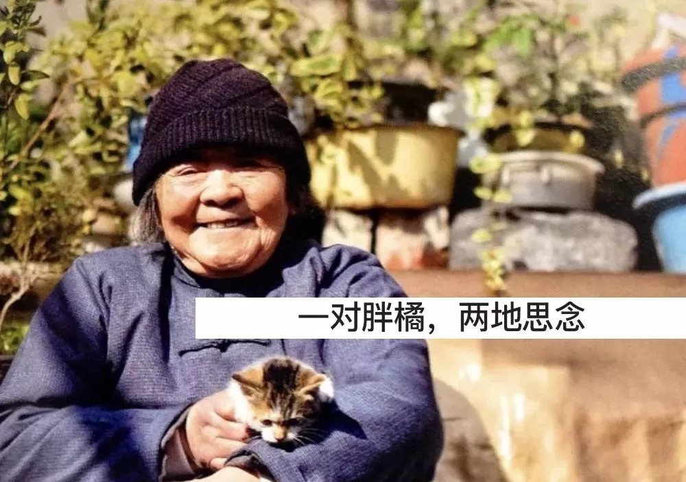 我国有九千万低龄老年人，挑战与机遇并存