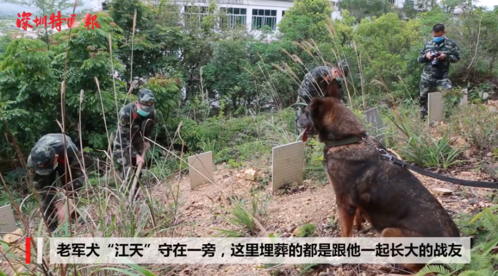 网传中印边境对峙第一现场咋回事