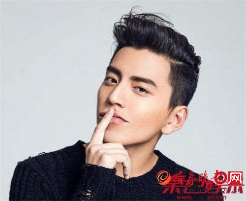 王大陆个人档案，探索明星王大陆的非凡旅程