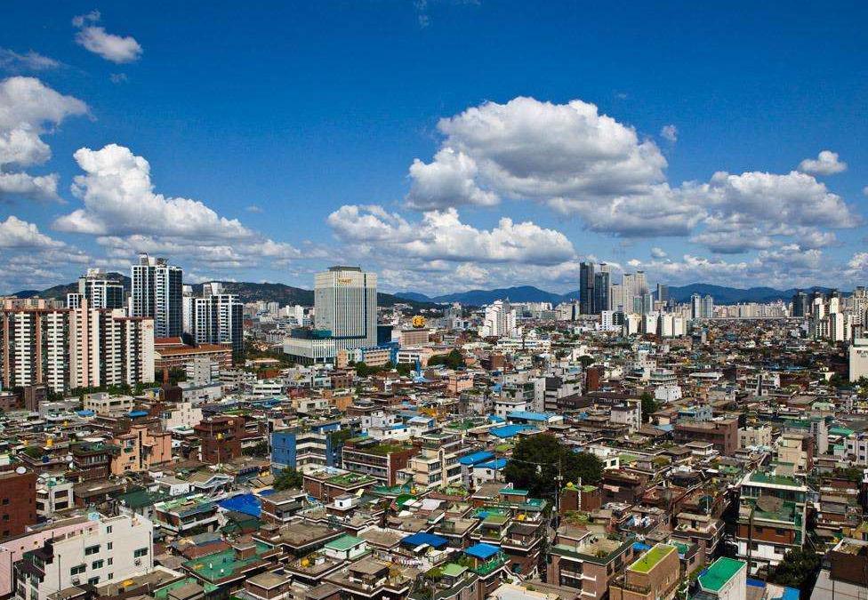韩国山火扑救中的盒饭力量