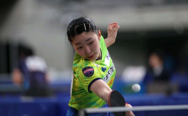 张本美和女单夺冠，荣耀背后的故事与奋斗
