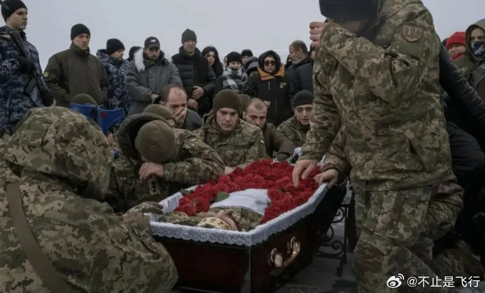 俄乌以1比21交换阵亡士兵遗体，战争背后的反思与和平的呼唤