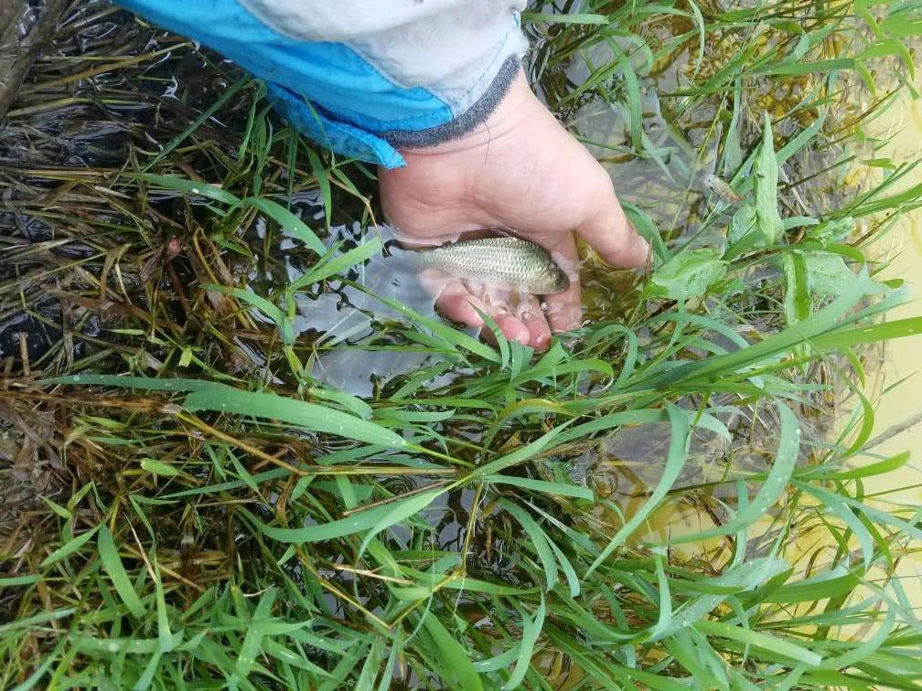 悲剧！男子与朋友赴水库炸鱼遭遇不幸身亡