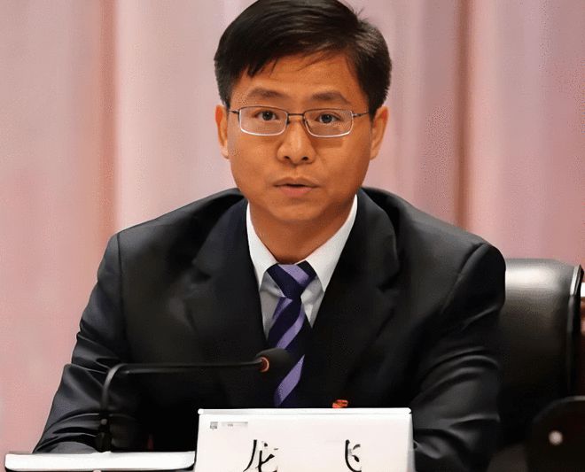 副部级龙翔被查事件深度解读