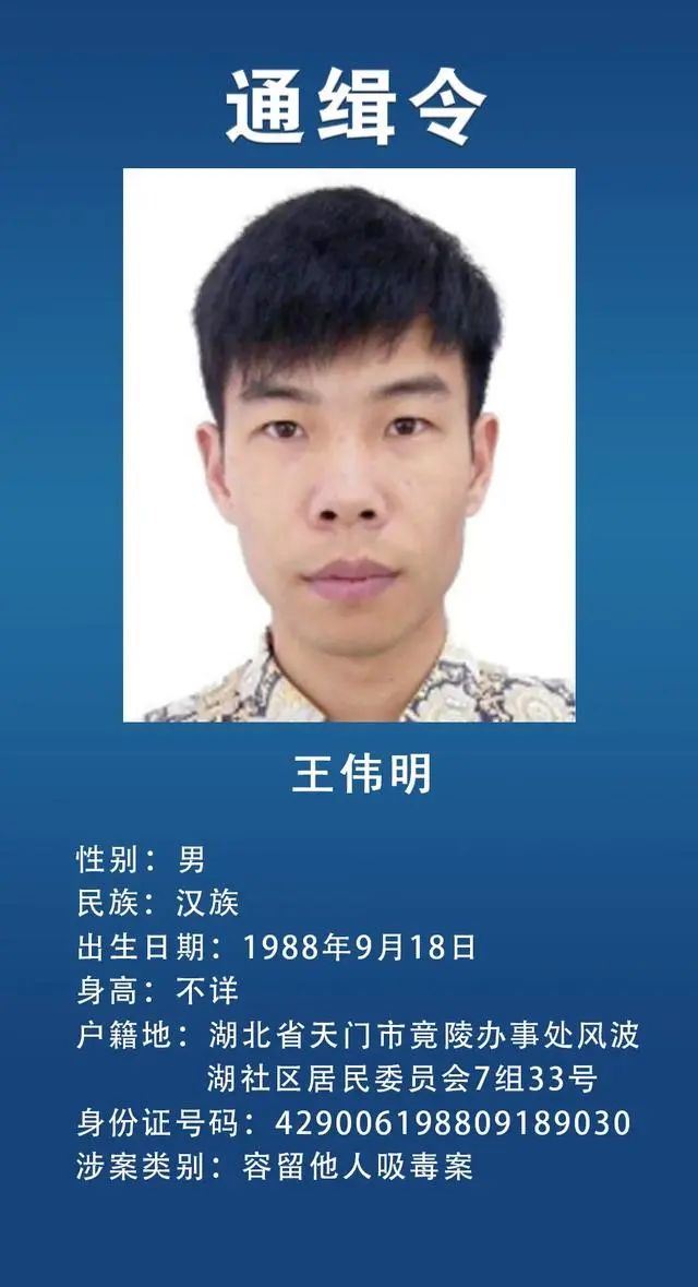全网通缉的在逃熊找到了