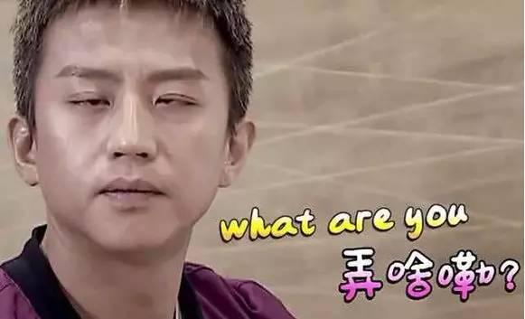 挖掘挖What，探索未知的魅力与力量