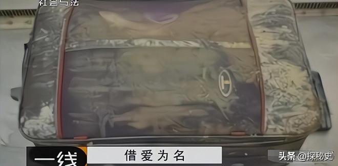 揭秘尘封真相，沈阳行李箱藏尸案告破背后的故事