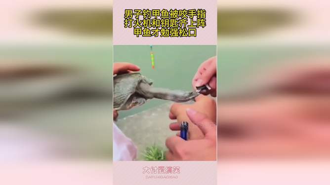 惊魂一刻，甲鱼咬住男子手，意外水中松口