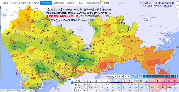 历史大风预警查询，追溯风云变迁，洞悉时代脉搏