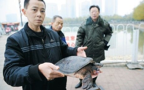 梦幻的旋律  _1 第2页