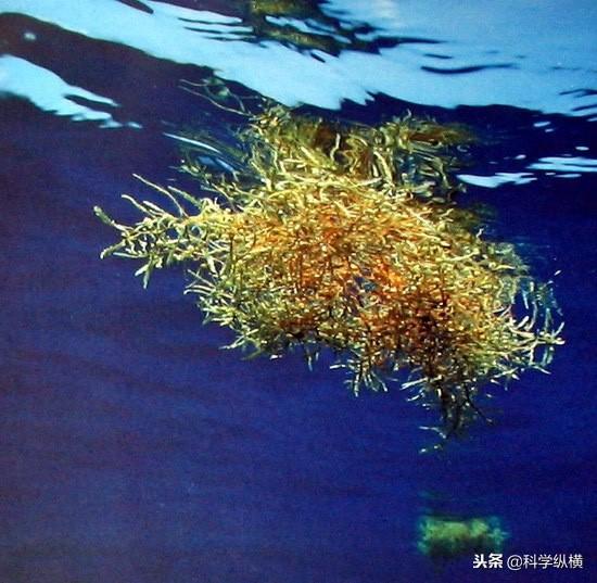华北大风为何风力异乎寻常