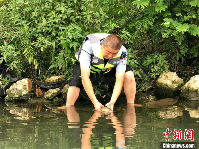 男子帮产完卵的鱼回江，网友赞其真放生，生态文明的点滴力量