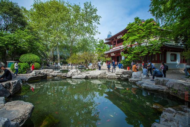北京大风把小狗吹成海豹，一则都市奇谈