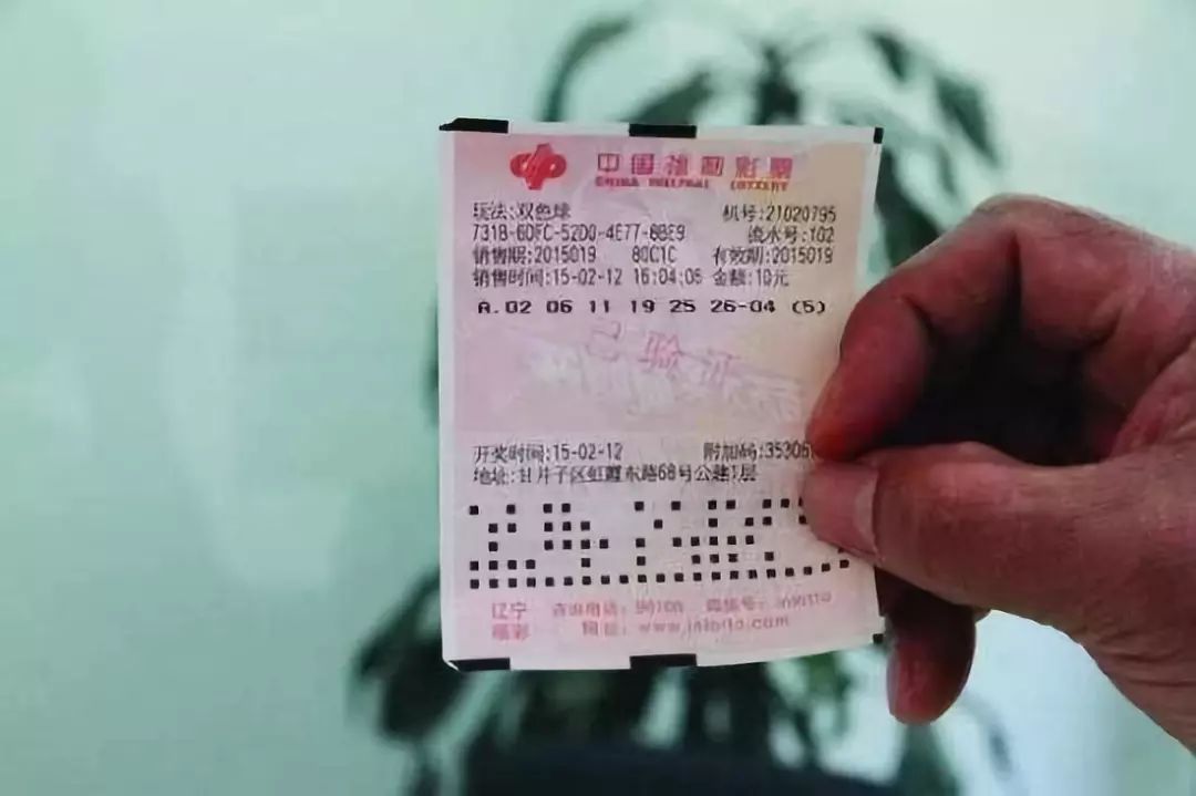 夫妻中奖5300万后双双辞职，梦想启航，财富自由的新篇章
