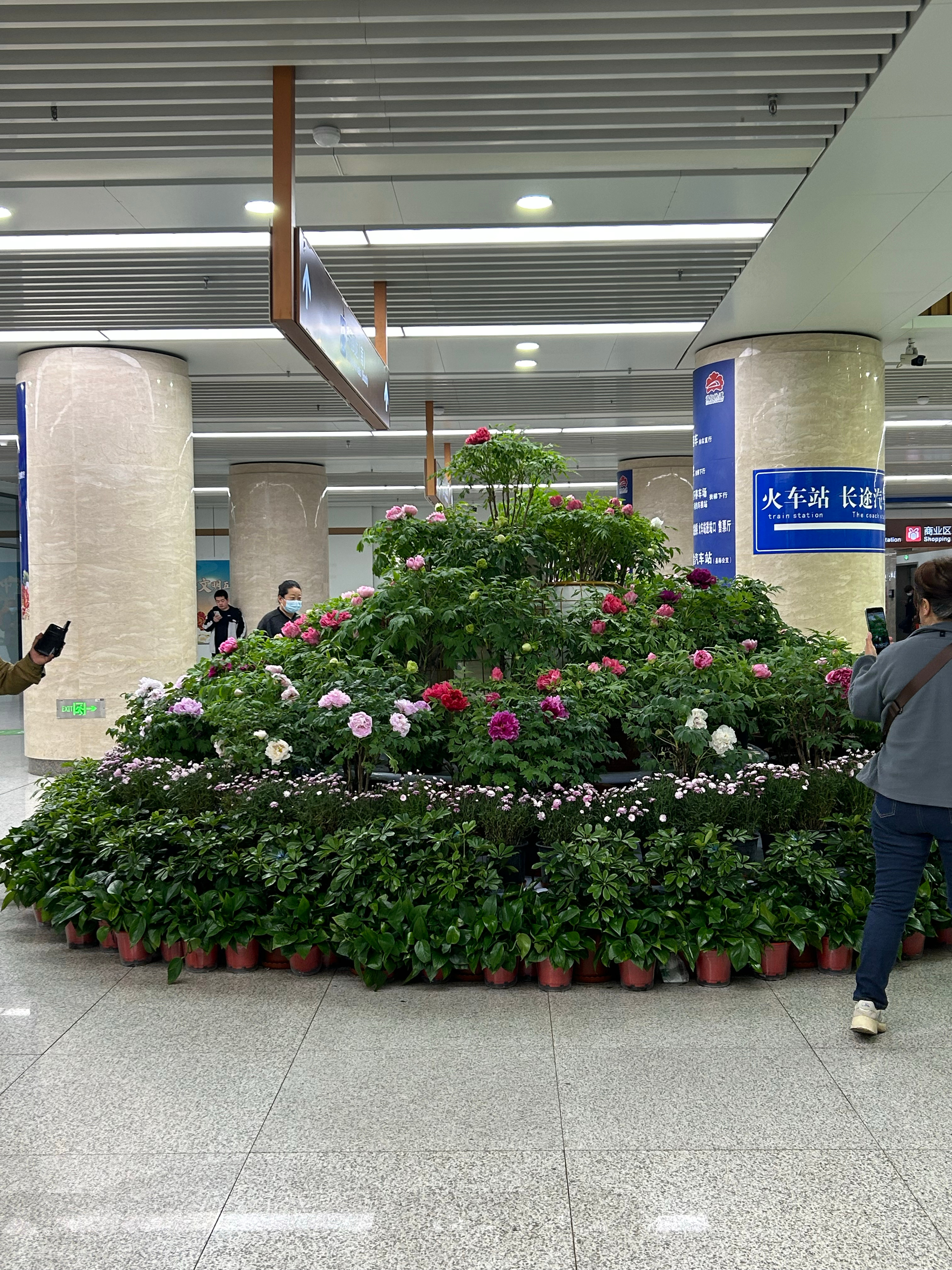 第1831页