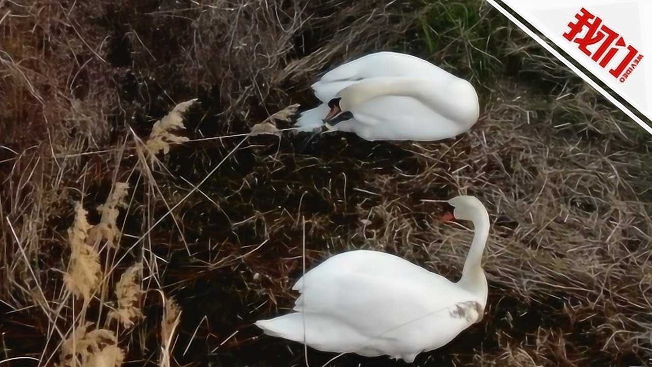 婧婧的旋转 第3页
