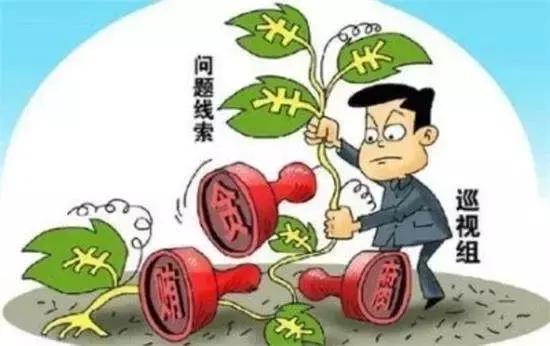 中央巡视组进驻六省区的深度观察