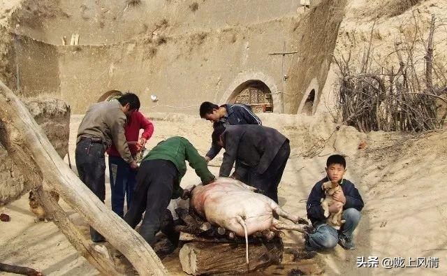 拒去男方家过年引发冲突，理性应对是关键