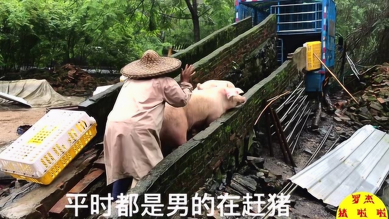 废弃猪场变花园，重塑自然之美的故事