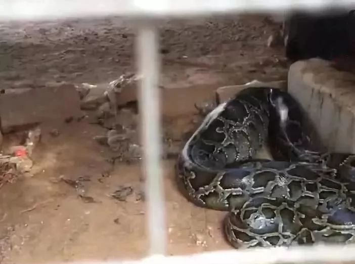 第1794页