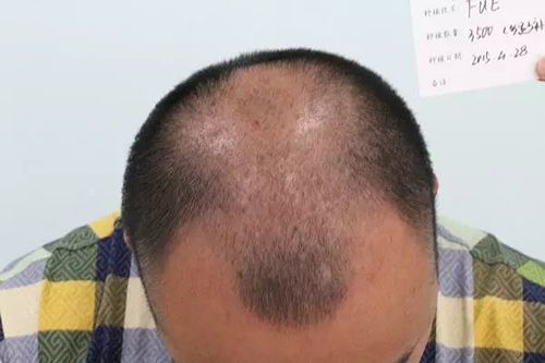 光影之舞 第2页