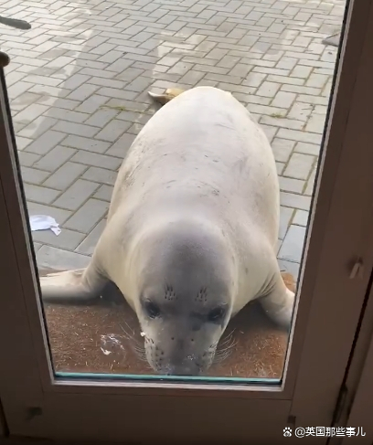 ご死灵メ裁决ぃ 第4页