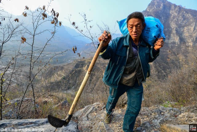 大爷在悬崖峭壁耕作，坚韧与生活的赞歌