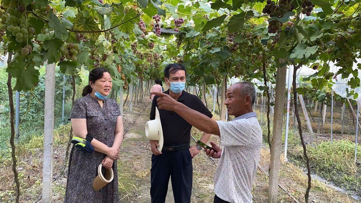月入两万的职业，现代社会的热门职业选择与收入分析