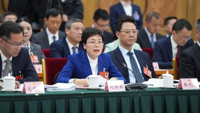 刘会英辞去遂宁市长的背后