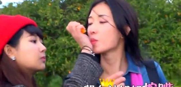 林志玲和杨紫综艺节目，两大女神的碰撞与交融