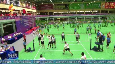垂耳兔 第2页