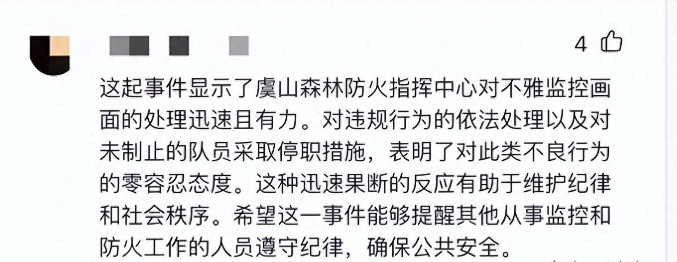 媒体评公司大屏现不雅视频，探究背后的真相与反思