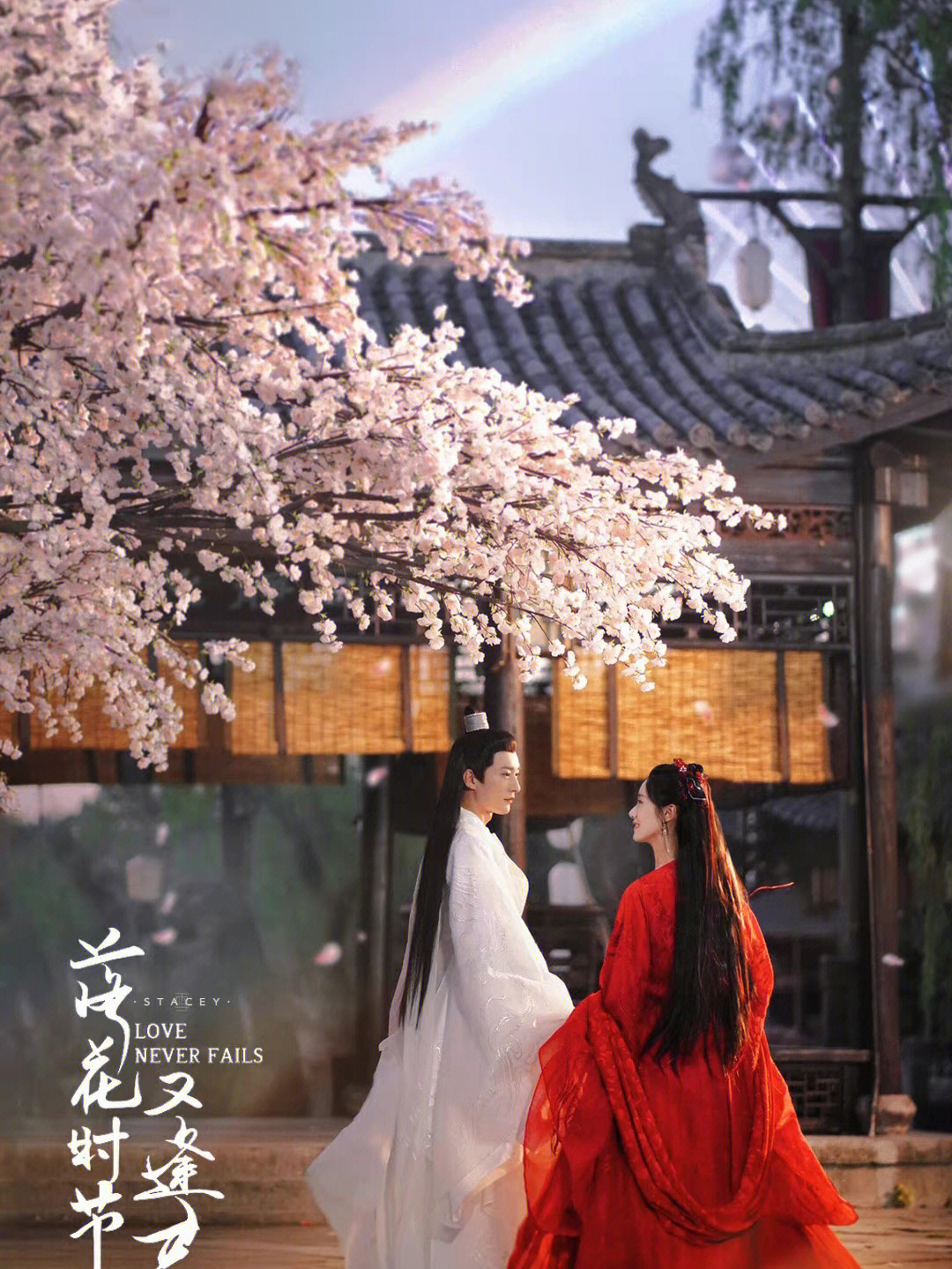 落花时节又逢君，一场深情与命运的交织剧剧情解析
