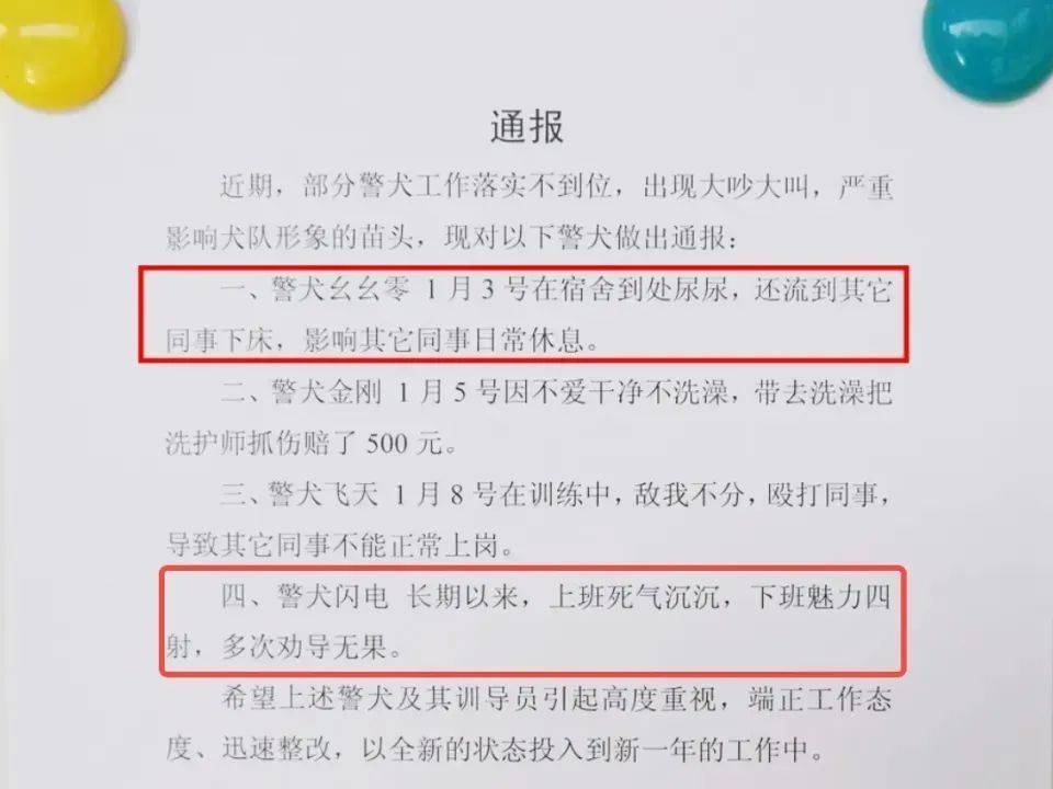 上班时间抢小朋友烤肠，警犬无辜被通报——一场误会引发的深思